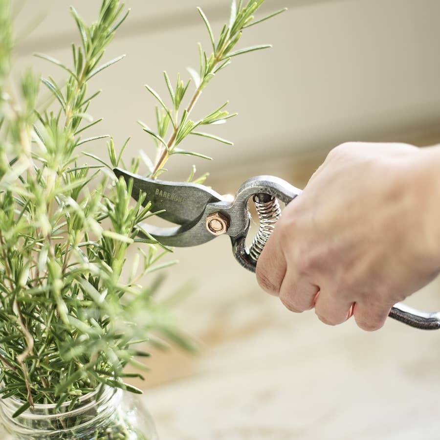 Pruner