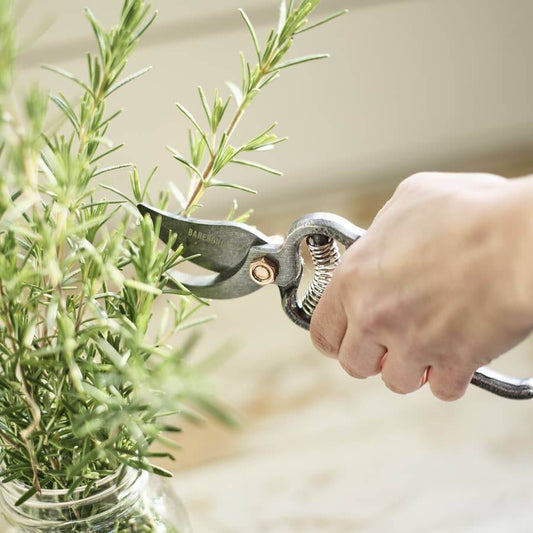 Pruner