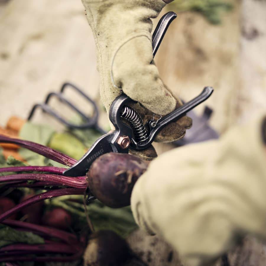 Pruner