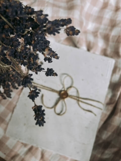 Seeded Paper