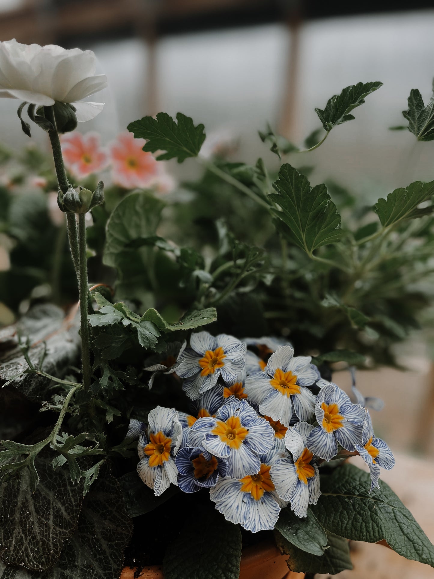 Spring Planter