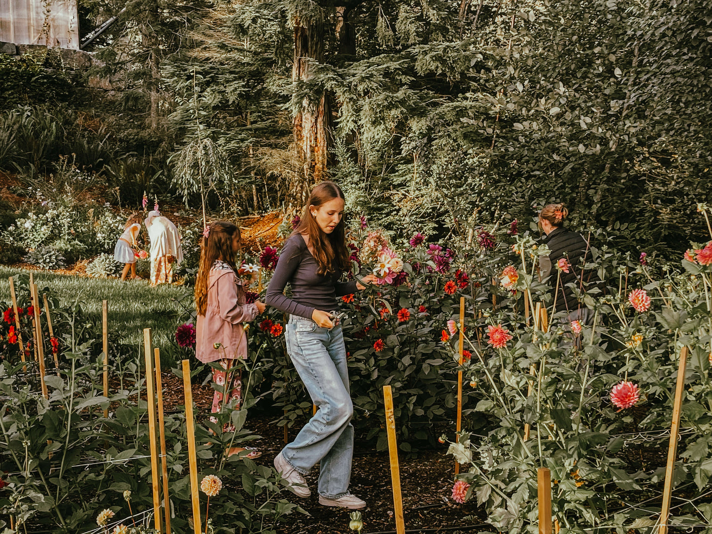 Clay Flower Frog Children's Party
