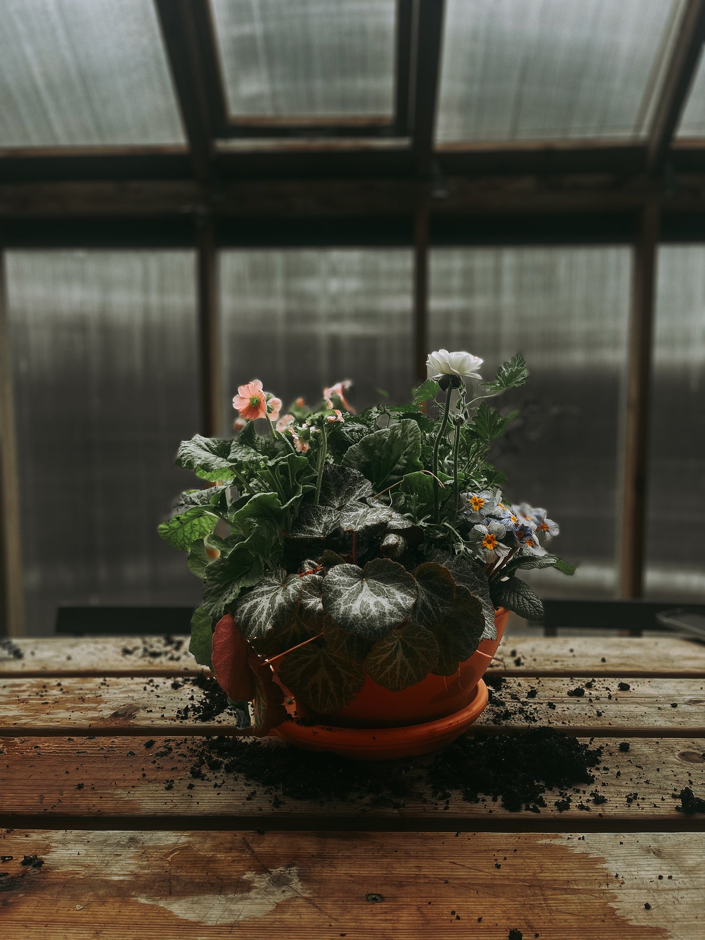 Spring Planter